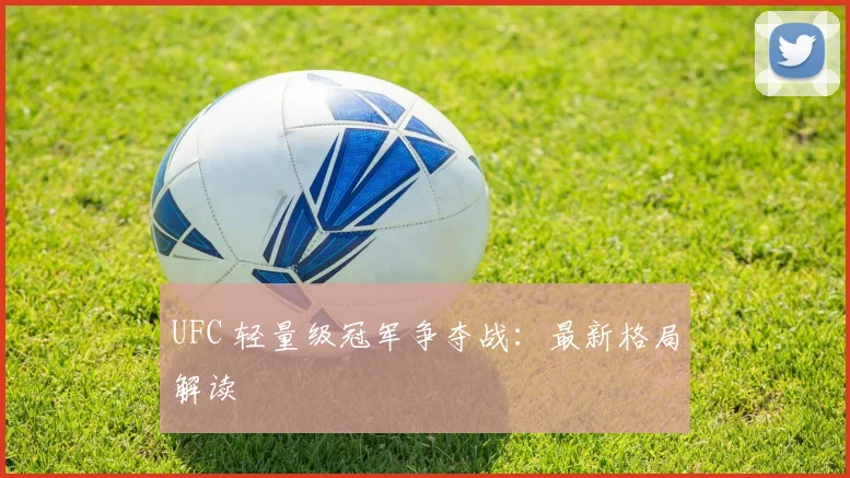 UFC 轻量级冠军争夺战:最新格局解读